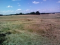 2013-07-20-nth-ranch-pastures_02